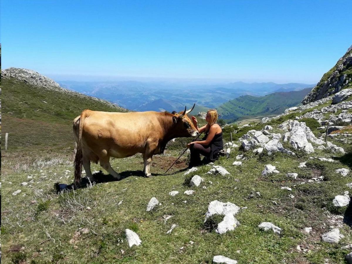 Cabana Val Del Mazo Βίλα Quintana de Soba Εξωτερικό φωτογραφία